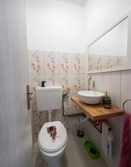 Apartament cu 3 camere decomandat în Exterior Vest