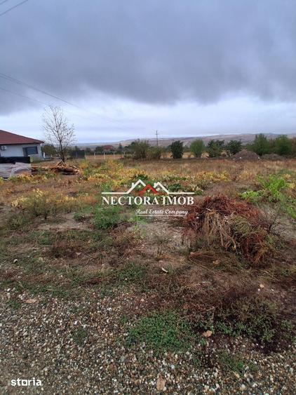 Teren de 676 mp, în Paleu