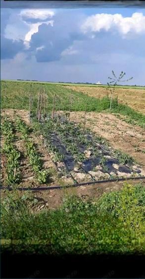 Teren de 6471 mp, în Obad