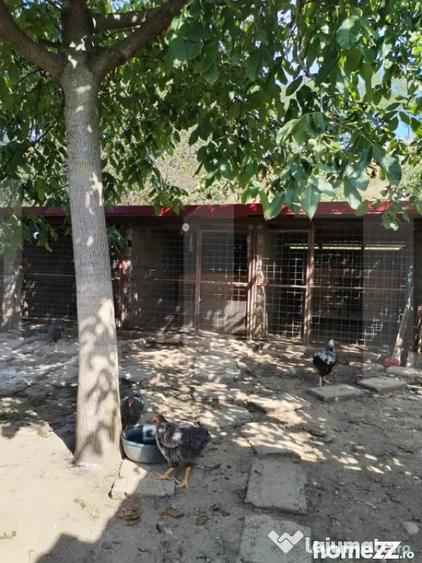 Casă cu 5 camere cu Teren 1337 Mp în Belin