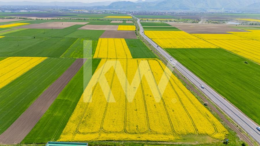 Teren agricol extravilan de 10600 mp, în Codlea