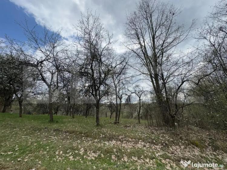 Casă cu 2 camere cu Teren 10000 Mp în Central