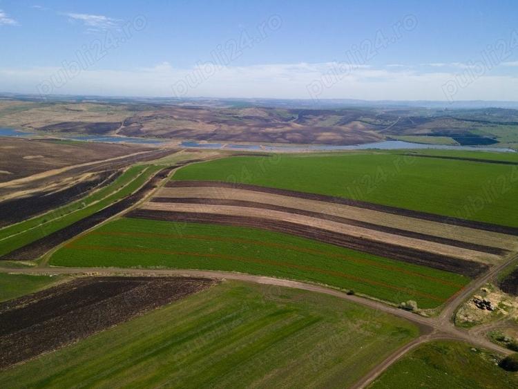 Teren de 8000 mp, în Copăceni