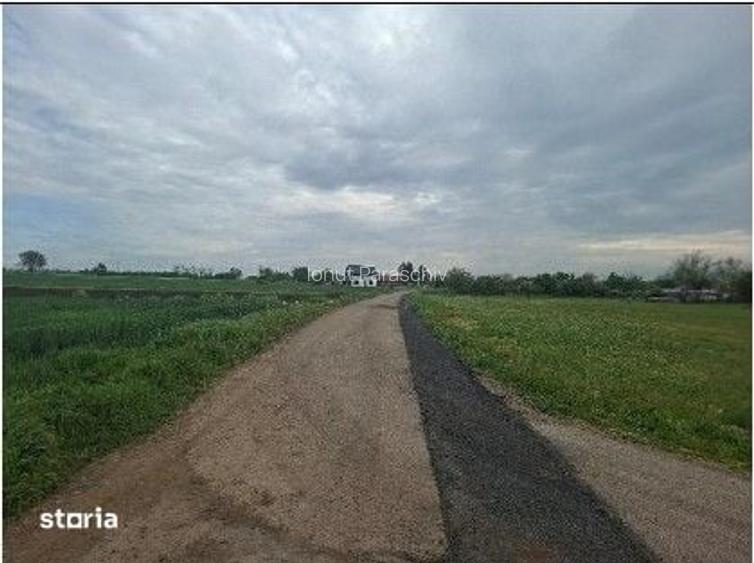 Teren extravilan cota parte 1/3, Valea Ramnicului, ID: R3172911