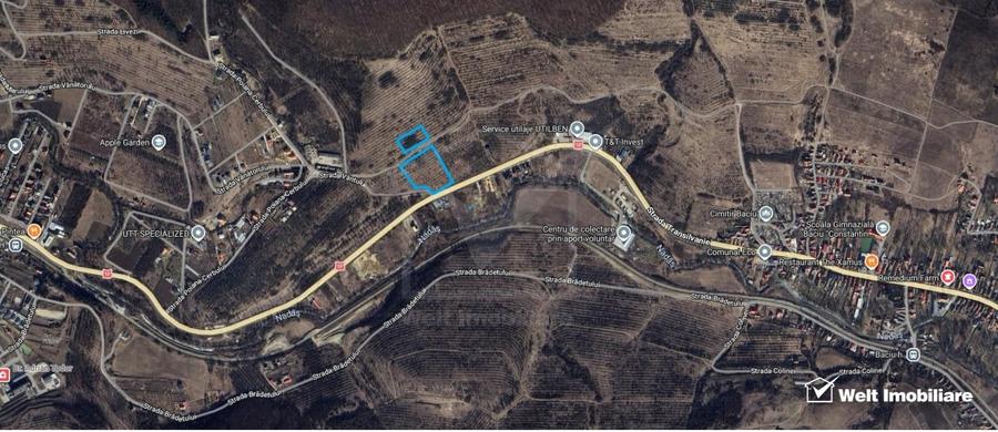Teren Construcții intravilan de 11600 mp, în Baciu