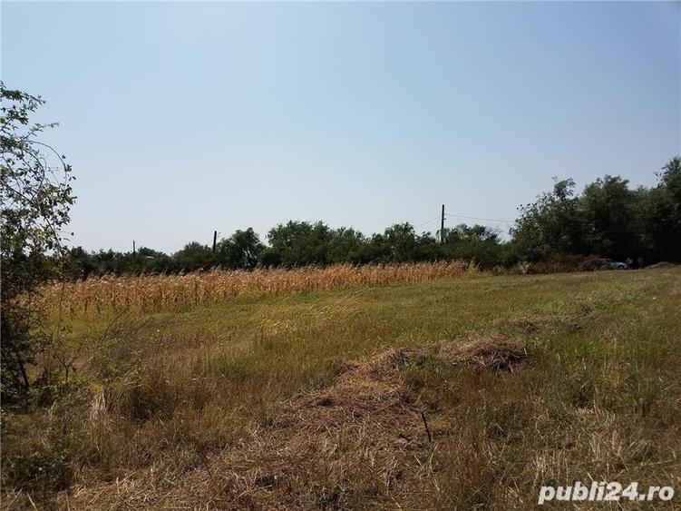 Teren de 1800 mp, în Letca Nouă
