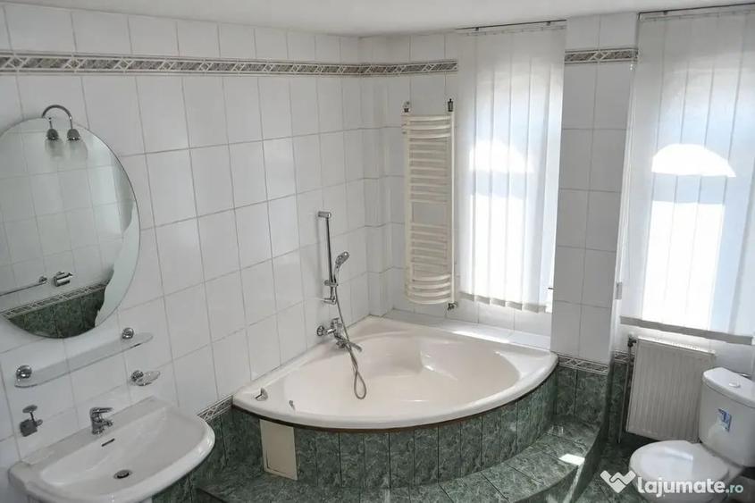 Spațiu comercial, de 903 mp, în Bucium
