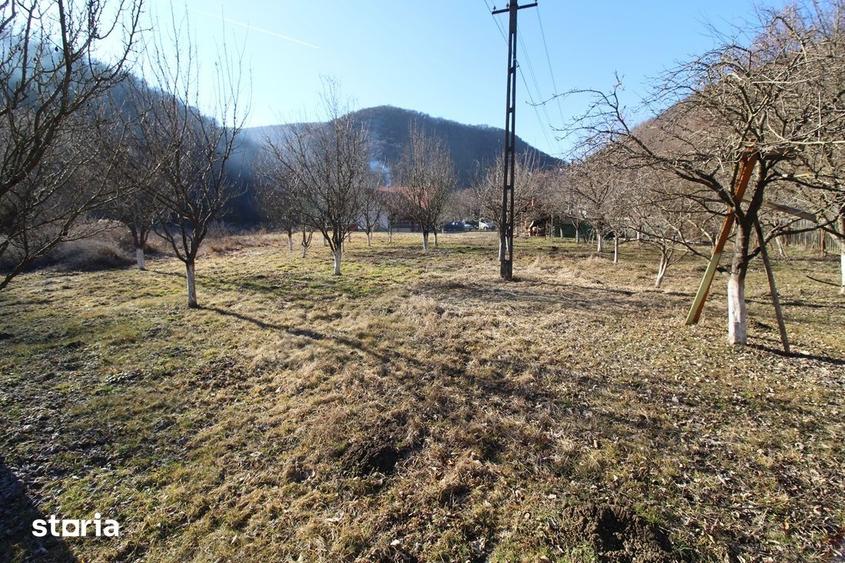 Casă cu 5 camere cu Teren 8610 Mp în Pestișu Mic