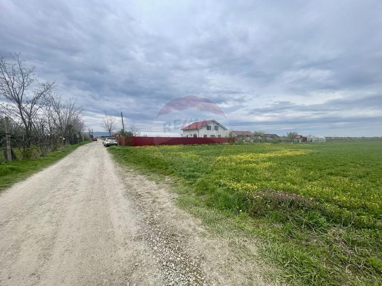 Teren agricol de 8486 mp, în Exterior Nord