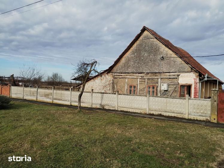 Casa veche din 1955 si teren intravilan 6153 mp, Sinersig,Jud Timis - 1