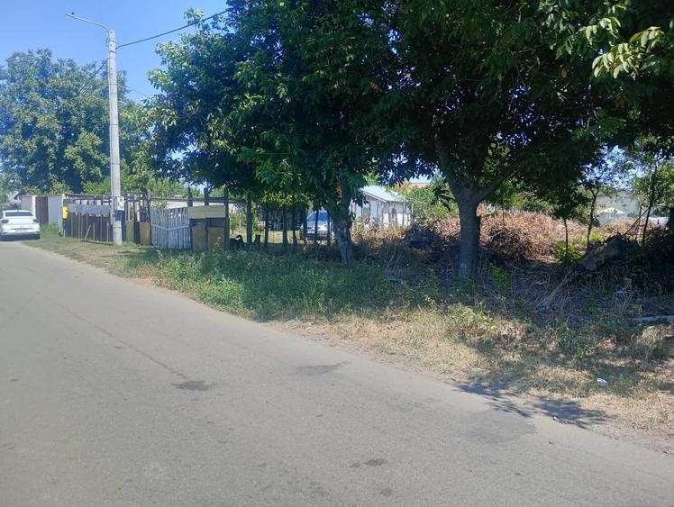 Teren Construcții intravilan de 1360 mp, în Frumușani