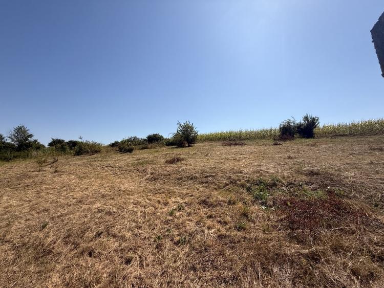 Teren agricol extravilan de 460 mp, în Dumbrava (Ciugud)
