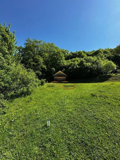 Teren agricol intravilan de 1439 mp, în Luncani