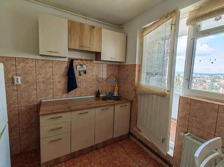 Apartament cu 2 camere în Griviței
