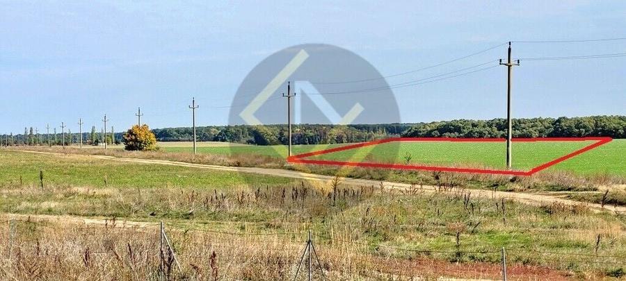 Teren Construcții intravilan de 91000 mp, în Snagov