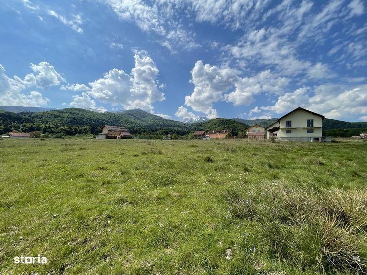 Teren de 1000 mp, în Sâmbăta de Sus