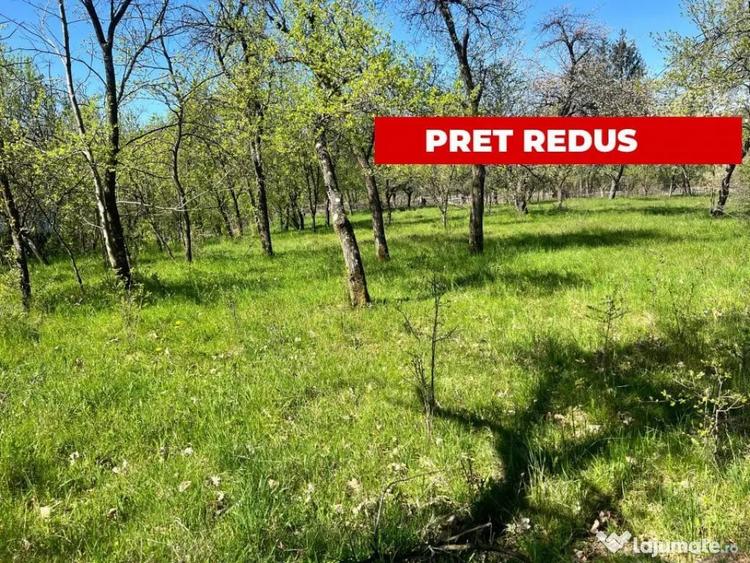 Teren în Corbi