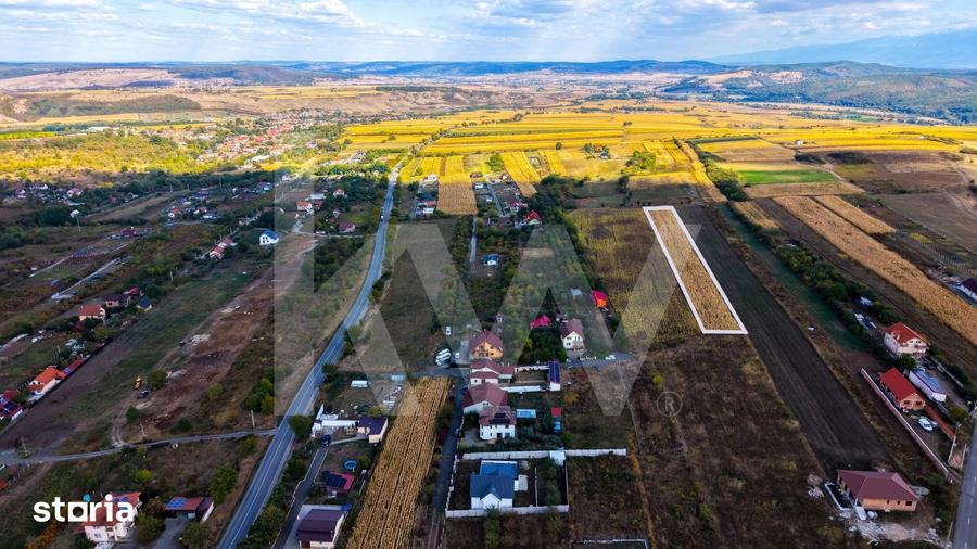Teren de 5000 mp, în Câineni