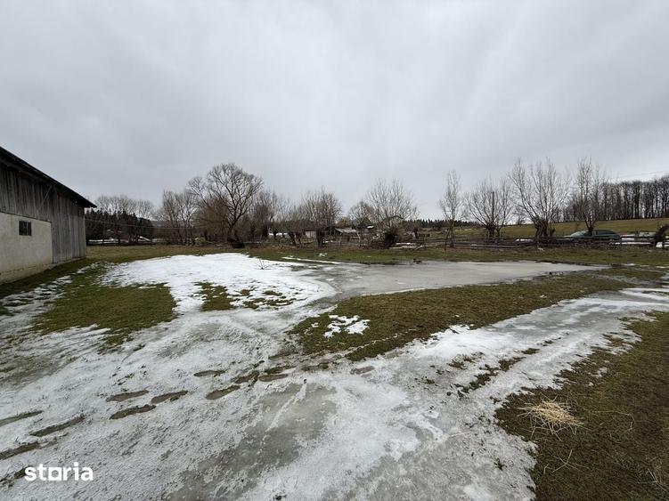 Teren de 3600 mp, în Horodnic