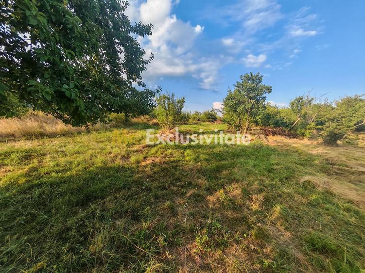 Teren Construcții intravilan de 1600 mp, în Exterior Nord