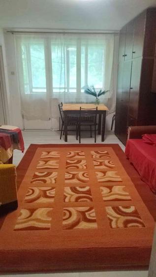 Apartament de inchiriat 2 camere, zona Mureseni - 7