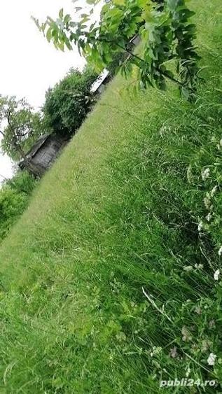Teren de 1000 mp, în Doftana