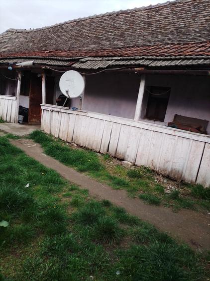 Casă cu 3 camere în Central