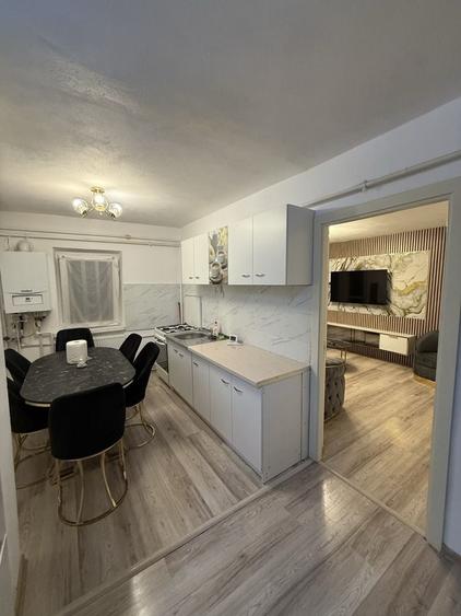 Apartament cu 2 camere decomandat în Rovine