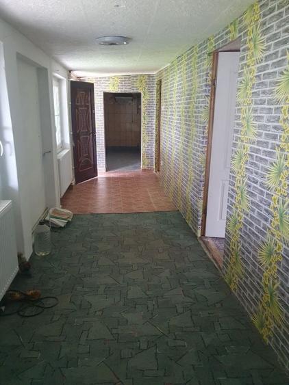 Casă cu 2 camere în Turnu