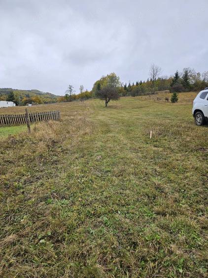 Teren de 3100 mp, în Trăisteni