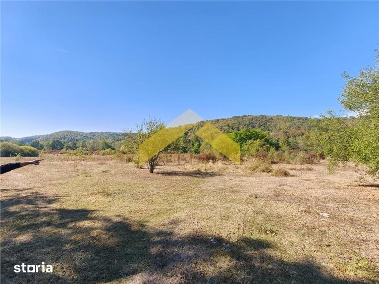 Teren de 20574 mp, în Petriș