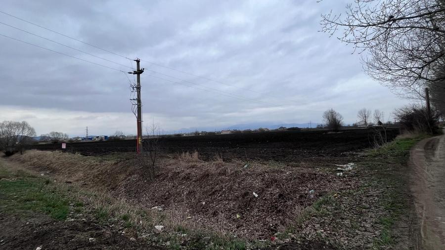 Teren agricol extravilan de 50000 mp, în Hălchiu