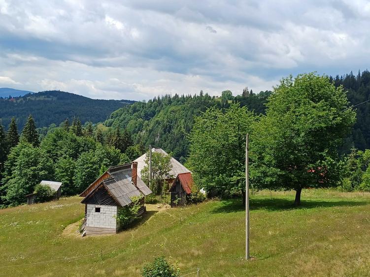 Casă cu 4 camere în Scărișoara