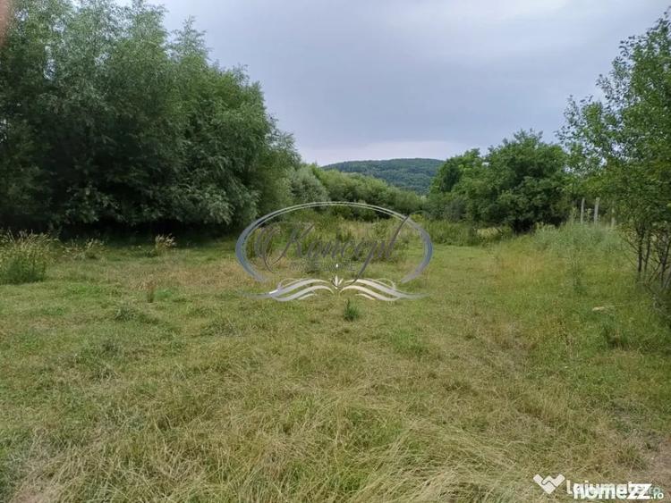 Teren în Ciurila