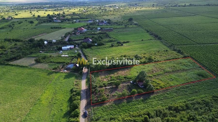 Teren Urla?i /Utilitati/ 5.555 mp pe Traseul MARVIN si Drumul Vinului - 10
