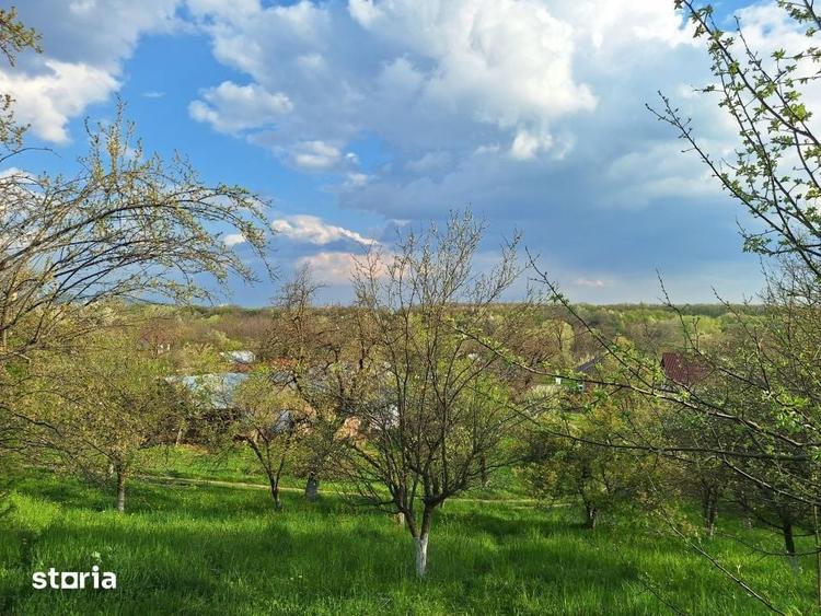 Casă cu 5 camere cu Teren 5950 Mp în Scorțeni