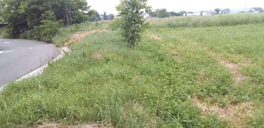 Vand teren intravilan plan 1530(se poate injumata?imp front 29 metri in salcea judet suceava plopeni - 1