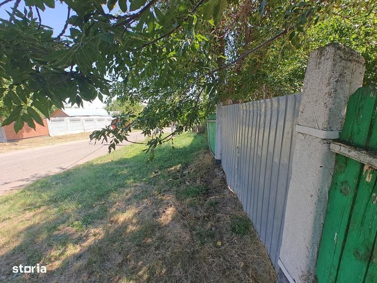 Doua case si 9.300 mp de teren in zona Bogdanesti - 5