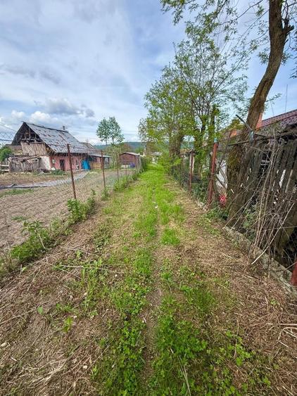 Casă cu 3 camere în Valea Nandrii