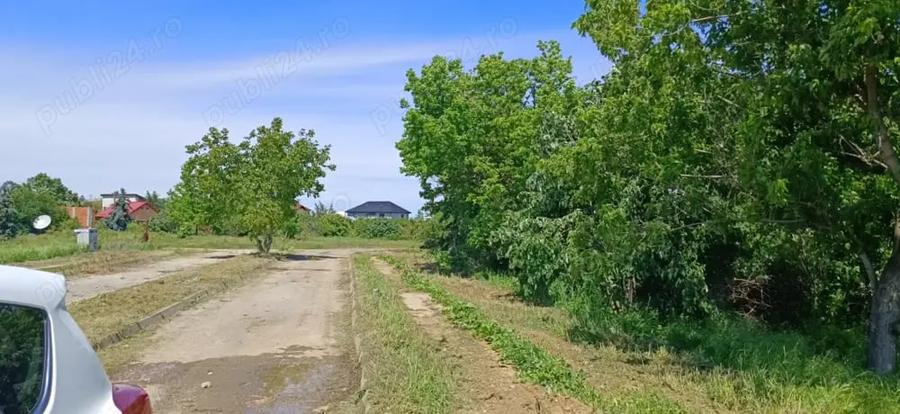 Teren de 5000 mp, în Tărtășești