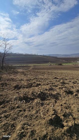 Teren de 7000 mp, în Hoghilag
