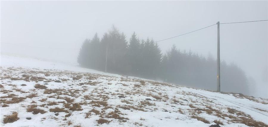 Teren agricol extravilan de 5000 mp, în Păltiniș
