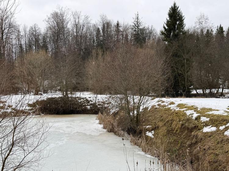 Teren agricol extravilan de 3600 mp, în Horodnic de Sus