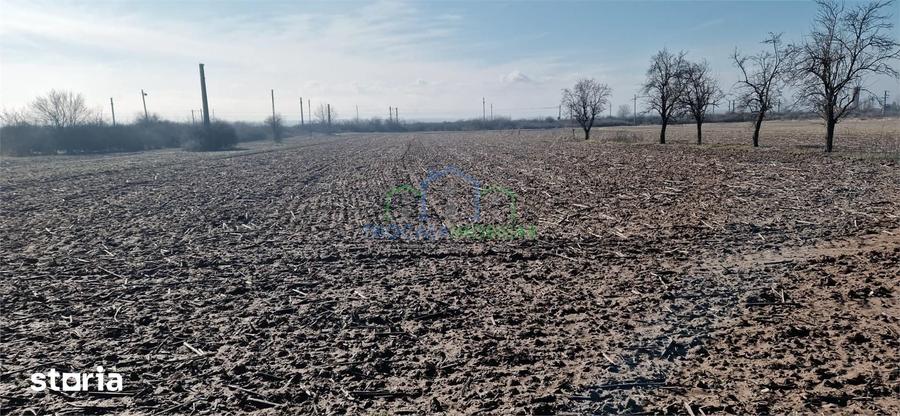 Casă cu 3 camere cu Teren 7952 Mp în Brădești