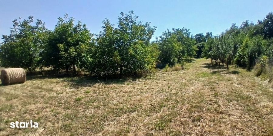 Casa in Comsesti cu teren intravilan 1800mp, acces bun - 4