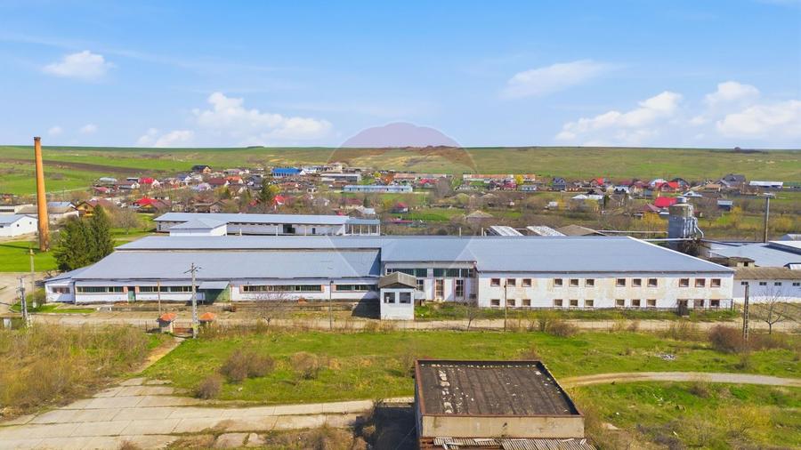 Teren Construcții intravilan de 41140 mp, în Est