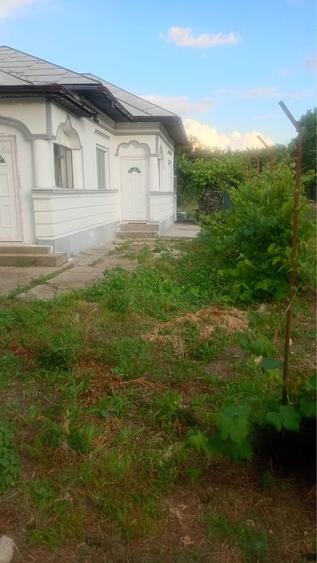 Casă cu 3 camere în Mihai Vodă