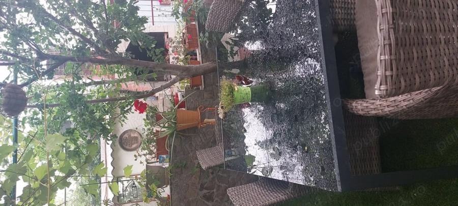 Casă în 16 Februarie