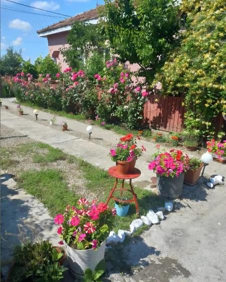 Casă în Osica de Sus