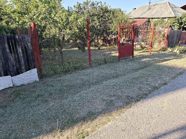 Teren de 1200 mp, în Băbana